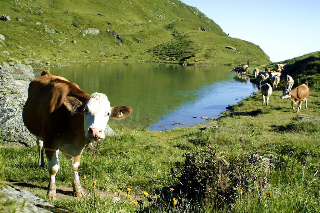 Hotel Wechselberger Saalbach-Hinterglemm Luaran gambar