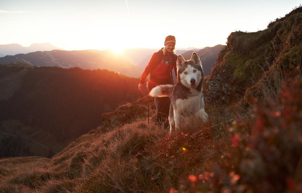 Hotel Wechselberger Saalbach-Hinterglemm Luaran gambar