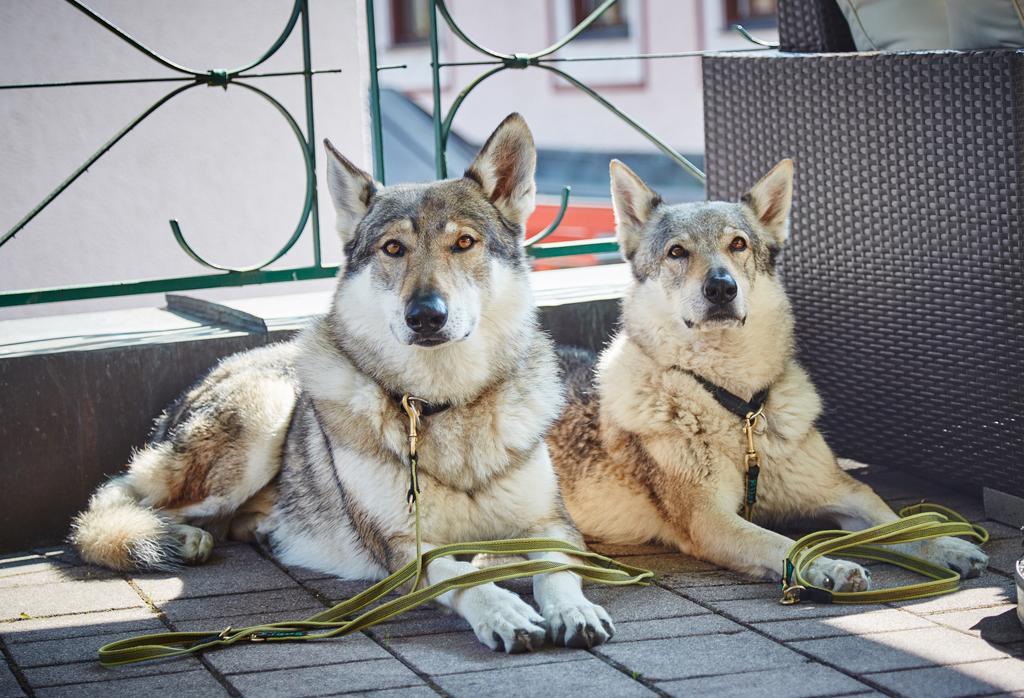 Hotel Wechselberger Saalbach-Hinterglemm Bilik gambar